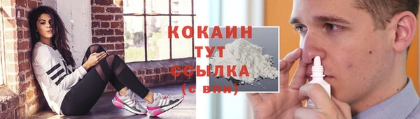 герыч Бородино