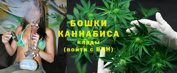 амф Бронницы