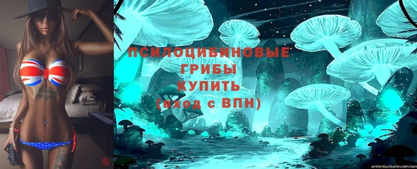 амф Бронницы