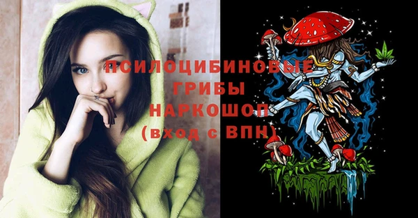 МДПВ Бугульма