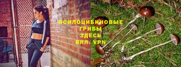 амф Бронницы